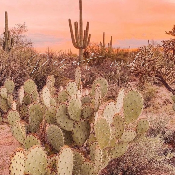 desert_mile